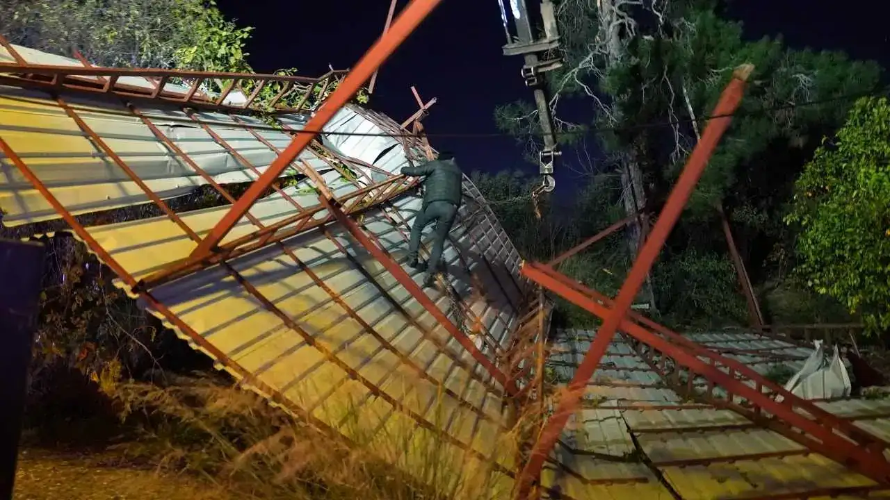 Mersin’de Şiddetli Fırtına Asırlık Ağacı Kökünden Söktü! 2